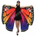 Ailes de papillon